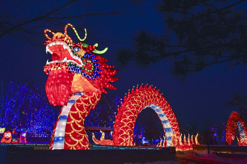 灯会张总 (4).jpg