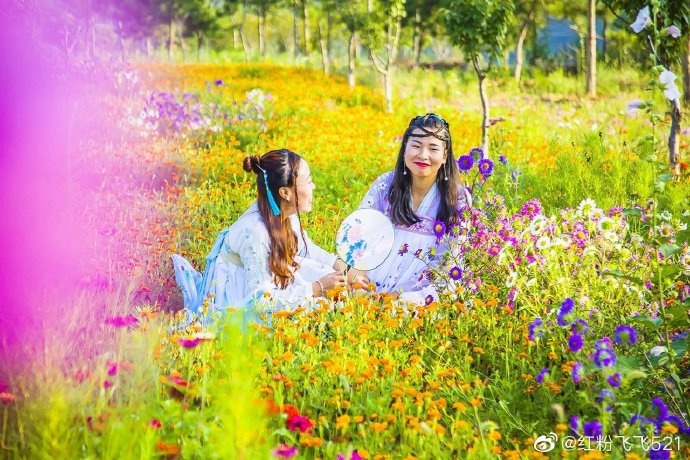 @红粉飞飞521 1.jpg