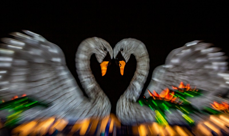 2019陕州灯会 (11).JPG